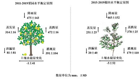 十三五 国家重点研发计划项目 京津冀水资源安全保障技术研发集成与示范应用 顺利通过专家组综合绩效评价